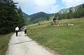 2011-08- (28)